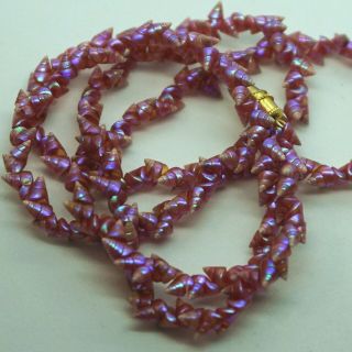 Victorian Vintage Tasmanian Maireener Aboriginal Purple/Pink Shell Necklace 25 
