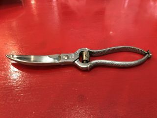 Vintage Inox Italy Poultry Scissors Shears 9.  5 " Length