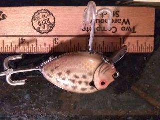 Vintage Heddon Punkin Seed Lure With The Box
