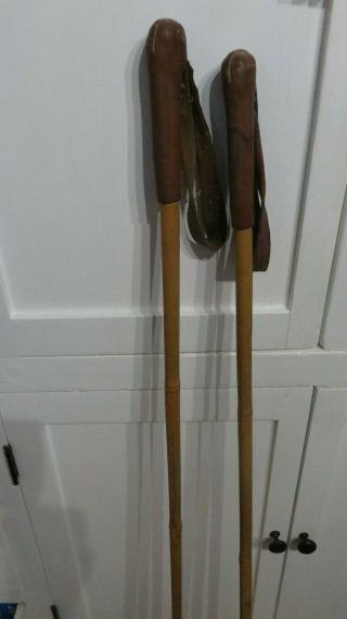 Vintage/Antique Bamboo Ski Poles,  51.  5 