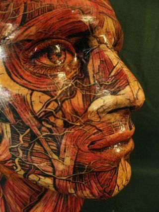 Unique Vintage Style Anatomical Head Skull Anatomy Type Outsider Art Sculpture