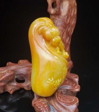Natural ShouShan Stone Statue Hand - Carved Exquisite Dragon Monster 3