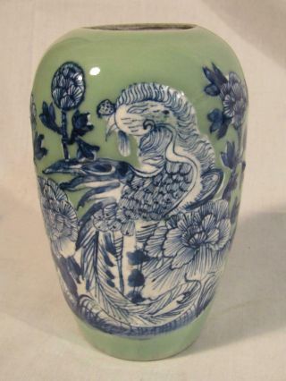 Antique Chinese 7 " Celadon Vase With Blue Exotic Bird Decor