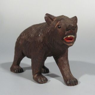 Authentic Antique Swiss Bear,  Bear Cub,  Black Forest Style,  Hand Carved Wood