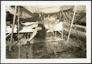 Shirtless Military Man In Swimsuit Reclining In Tent Bunk Vintage Photo Gay Int