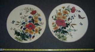 Antique German Hand Painted Enameled Charger Plate Pair Signed 1893 14 Inch