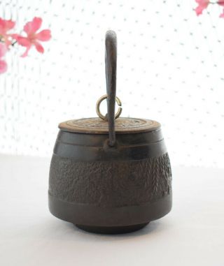 Small Vintage Japanese Cast Iron Tetsubin,  Tea Pot 3