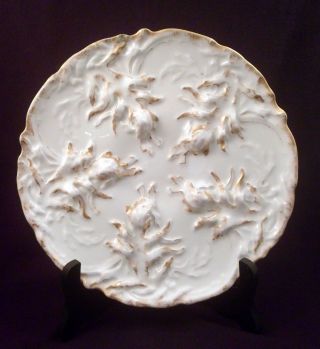 Unusual Rare Antique Porcelain Haviland Limoges Oyster Plate,  Seaweed,  Leaves
