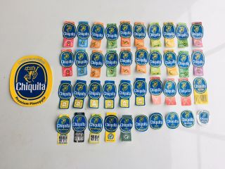 40 Different Banana Labels Stickers - Different Years