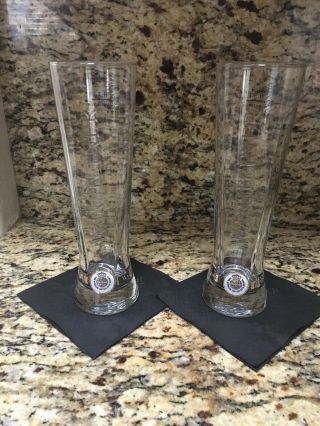 Warsteiner 0.  3 Liter Embossed Beer Glass (2)