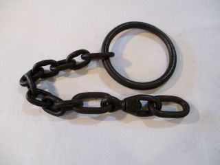 Newhouse No.  150 Or 50 Bear Trap Chain / Hutzel / Trapping / Vintage