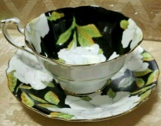 Paragon England Cup & Saucer Large White Gardenia Flowers On Black Background