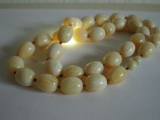 Antique Art Deco White Amber Egg Yolk Baltic Olive Marbled Necklace Prayer Beads