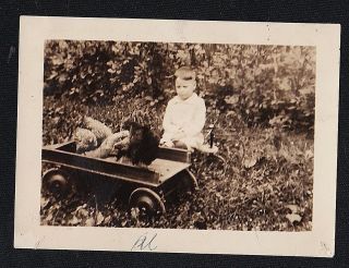Antique Vintage Photograph Little Boy Sitting With Cart Full Of Chickens