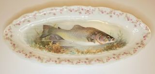 Antique Large Fish Platter Roses Transferware Carl Tielsch Ct Altwasser Germany