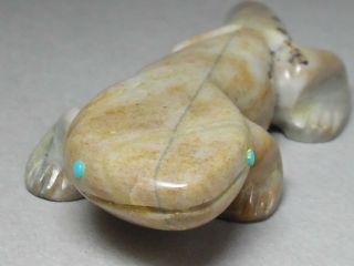 Zuni Fetish F - 1199 Picasso Marble Lizard By Gordon Poncho