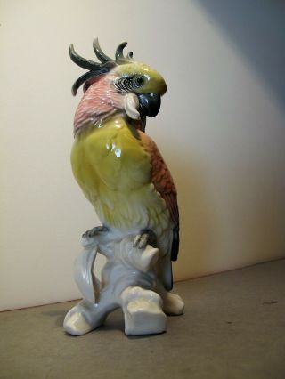 German Karl Ens - Volkstadt Porcelain Parrot.