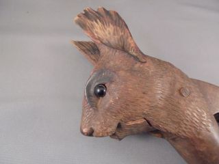 Antique Carved Wood Black Forest Squirrel Nutcracker Glass Eyes 2