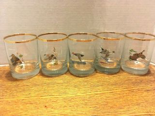 5 Vintage Gold Rimmed Ned Smith Lowball Glasses Pintail Widgeon Grouse Redhead