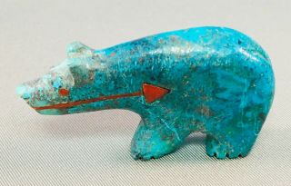 Zuni Carved Turquoise Bear Fetish With Coral Heartline By Andres Quandelacy,
