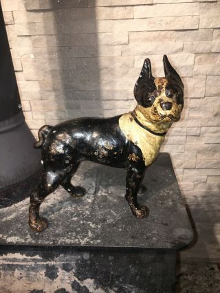 Antique Hubley Boston Terrier Cast Iron Dog Home Art Statue Sculpture Doorstop