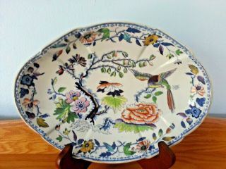Very Rare Antique Davenport Stone China Number 6 Colour Flying Bird Serving Bowl