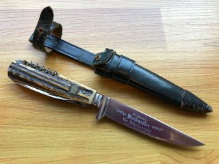 Vintage Puma Werk Weidmesser Stag Hunting Knife 3591 Pre - 1964
