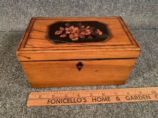 Antique 19thc Applewood Tea Caddy Box,  Marquetry Inlay