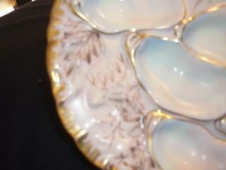 PORCELAIN TURKEY OYSTER PLATE/DISH PINK WITH FLORAL DESIGN HEAVY GOLD RIM 2