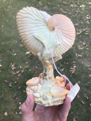 Antique Royal Worcester Vase Figurine Nautilus Shell Coral Ocean Gold Trim