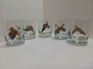 Vintage Ned Smith Drinking Bar Glass Set Birds Fowl Hunting Set Of 5