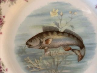 RARE Antique Victoria Carlsbad Austria Fish Plates 3