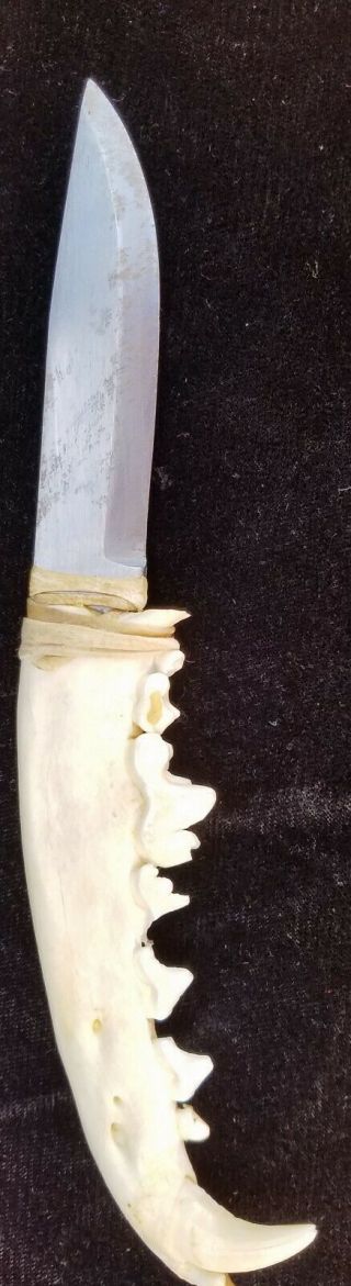 Brusletto Made In Norway Knife,  7 " Jawbone Handle,  Re Enacter Item