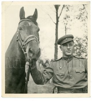 1940s Ww2 Soviet Military Man Red Army Award Horse Occupation Russian Photo