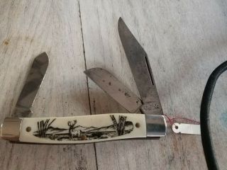 Colonial prov.  usa Scrimshaw Series Pocket Knife 3