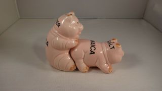 Jamaica Naughty Pigs " Making Bacon " Salt And Pepper Shakers