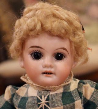 10 1/2 " Antique German Bisque Am 1894 Doll 9 " Circ,  Body & Mohair Wig