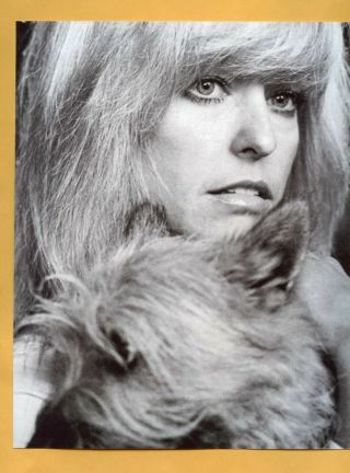 Close - Up Candid Photo Of Gorgeous,  Farrah Fawcett With Her Dog Taken In The 
