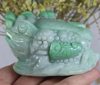Certified Natural Green（grade A）jade Jadeite Toad Statue 89852h1n5 招财金蟾