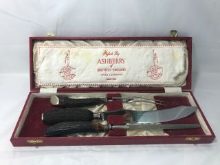 Vintage Ashberry Of Sheffield - England Stainless Antler Carving Set