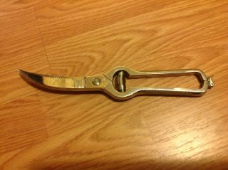 Vintage Royal Brand Cutlery Co.  Poultry Shears Scissors.  Made In Italy.