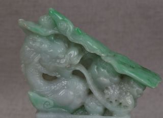 Cert ' d untreated Green Grade A Jade jadeite Sculpture statue dragon 龙 r093842 3