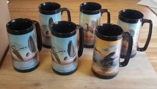Vintage Thermo - Serv 16oz Set Of 6 Mallards,  Duck,  Canadian Geese,  Raedeke Art