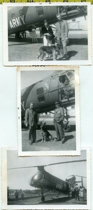 (3) Vintage 1960 Dog & Helicopter Photos / German Shepherd Inspects Army Chopper