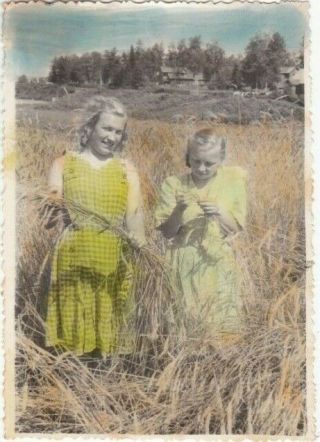 1950s Pretty Young Women Girls In Wheat Field Hand Tinted Russian Soviet Photo