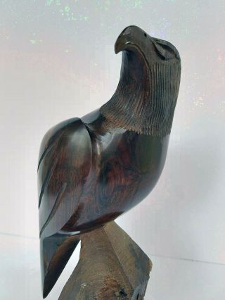 Large Indigenous Seri Ironwood Majestic Eagle Sculpture Vintage Handmade Carving