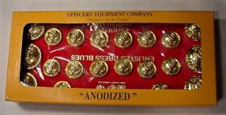 Usmc Set Of Anodized Gold Buttons For Enlisted Dress Blues