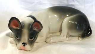 Rare Pfeffer Porcelain Factory French Bulldog Circa 1934 Adorable Lying Down