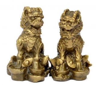 Chinese Brass Money Wealth Yuan Bao Kylin Dragon Beast Statue Pair