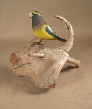 Vintage Folk Art Carved Bird On Driftwood By Dell Higgins Dexter Maine